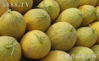 月子婆可以吃哈密瓜吗,哈密瓜的营养与禁忌