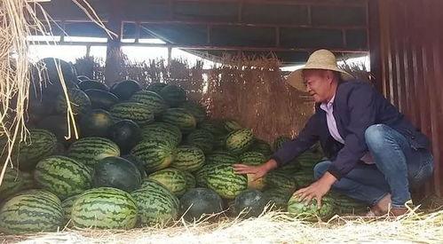 大李吃瓜,揭秘娱乐圈幕后故事