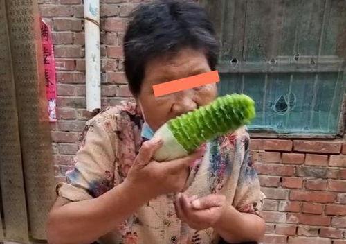 婆婆吃自己的瓜,婆婆意外吃下自己种的瓜