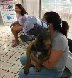 吃瓜抱着狗去医院,共赴医院守护健康之旅