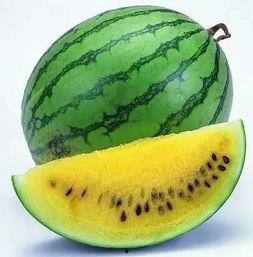 吃瓜看球正消暑