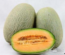 吃冲剂可以吃哈密瓜吗,哈密瓜与冲剂的完美搭配