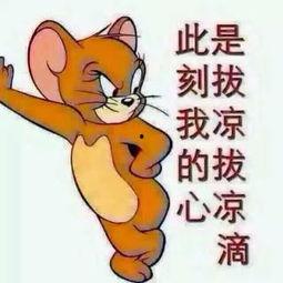 单身吃瓜群众图片,揭秘娱乐圈幕后故事