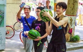 湖南某学校吃瓜,揭秘校园里的“瓜田”风云